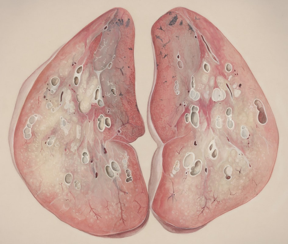 Educational resources on liver health and male nutrition